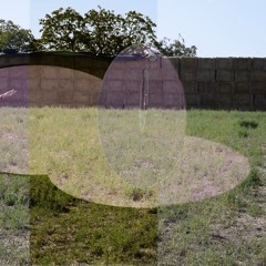 Le Désir Dans Le Champ Et Sa Cachette 2021