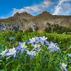 Tolchock-Rock Coast Springtime Rinse Down 2020