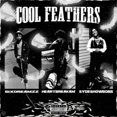 @6ixdreamzz— Cool FeatheRs( feat. heartbreakam x heartbreakbob)