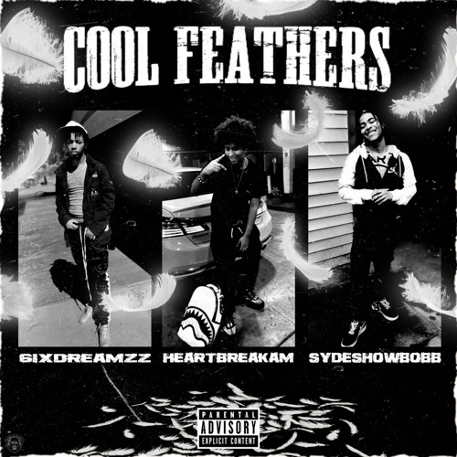 @6ixdreamzz— Cool FeatheRs( feat. heartbreakam x heartbreakbob)