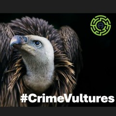 #CrimeVultures: A New Election Campaign