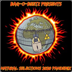 Bag-O-Beetz presents:  Natural Selections 2020 Pandemix
