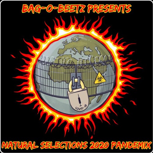 Bag-O-Beetz presents:  Natural Selections 2020 Pandemix