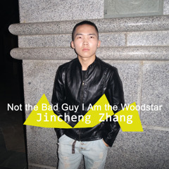 Not the Bad Guy I Am the Woodstar