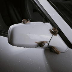 FULL TIME   Marc Seguí  Rawayana  'Toy procrastinando Pasando mi tiempo soñando, pensando en ti Ya n