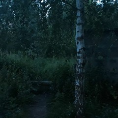 Город Еще Спит