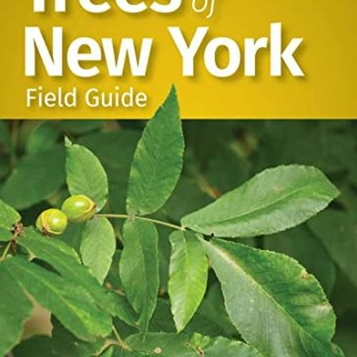 Stream !| Trees of New York Field Guide, Tree Identification Guides