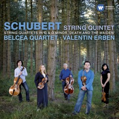 Schubert: String Quartet No. 15 in G Major, Op. Posth. 161, D. 887: II. Andante un poco moto
