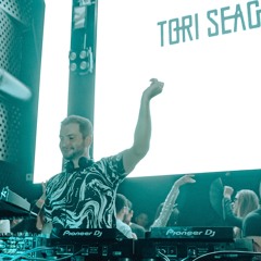 Tori Seagel - Aldea Zama (Techno Dub)