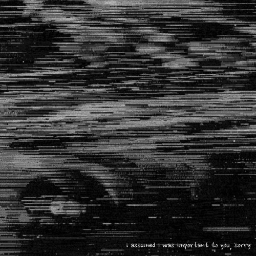 i assumed i was important to you, sorry