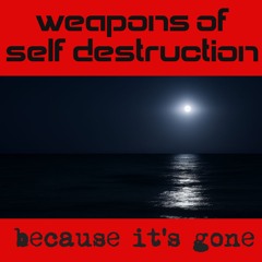 Because it's Gone