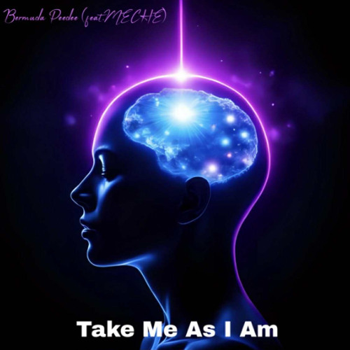 Take Me As I Am - Bermuda Peedee (feat. MECHE) (Prod. By PAVLO)