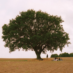 APHACA - FLUE I ET SPIND (HVMMER REMIX)