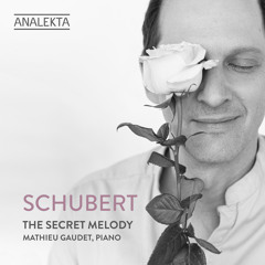 Sonata No. 19 in A Major, D. 959: II. Andantino