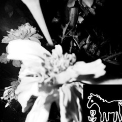 JETTMASTERS - Yall Ready For Dis (DCT001) (FREE DOWNLOAD)