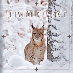 Le Fantôme de la Forêt