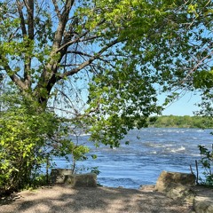 Parc Des Rapides, Montreal - afternoon May 25 2023 (binaural)