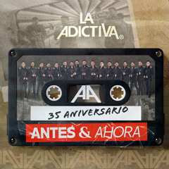 Mi Persona Especial