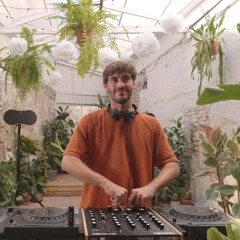 Alocasia TV: Vince Void (15/09/2024)