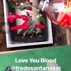 Hoes off da coco/rip fredo🩸🕊️