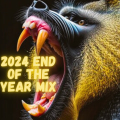 HOUSE HAVEN X (2024 END OF YEAR MIX)