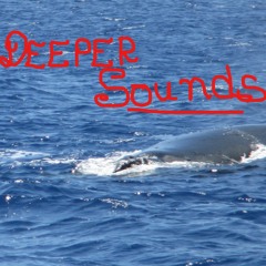 DEEPER Sounds