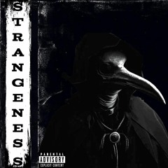 Strangerness