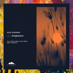 PREMIERE: Alex Doering — Enlightment (BiG AL Remix) [The Purr Music]