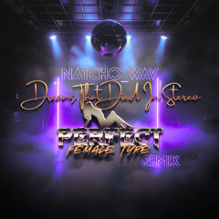 Dreams that Died in Stereo (Perfect Female Type Remix)