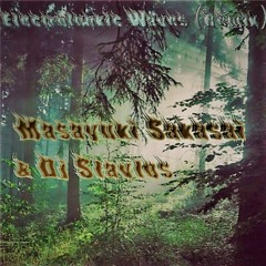 Electrofunkic Waves (Masayuki Sakasai Remix)
