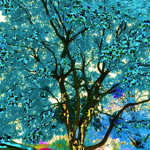 your brain on procrastination [demo]