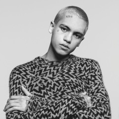 Dominic Fike Ticket Promo NOT REAL, FOR SCHOOL