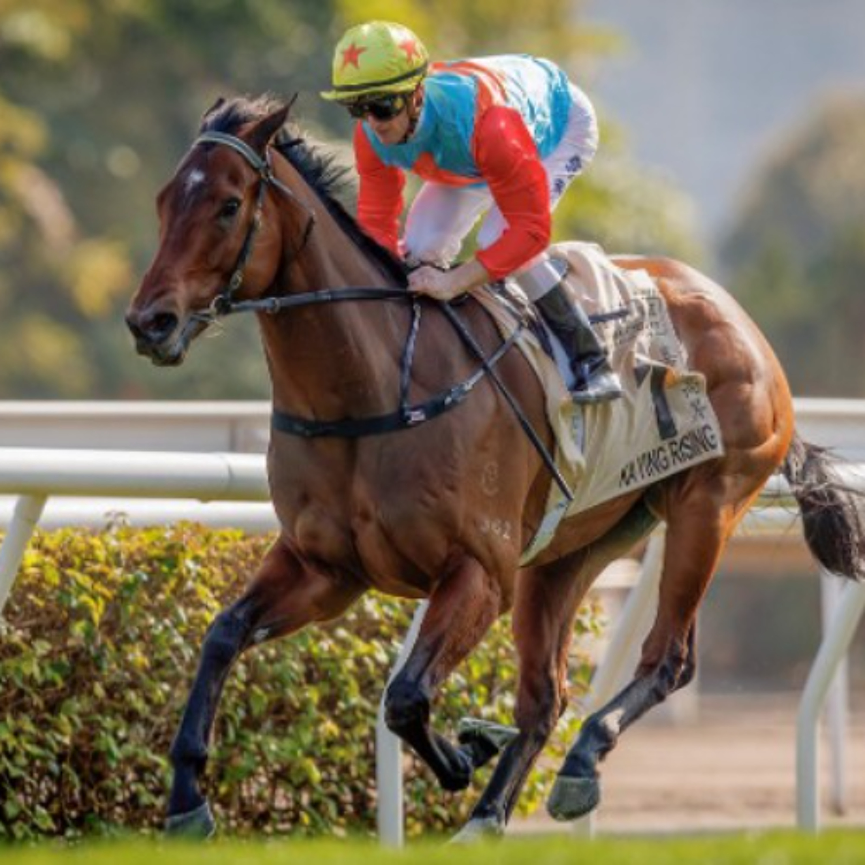 Punter's Preamble - 2025 Everest Day