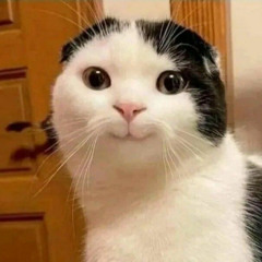 một lần đau đớn vỡ nát tâm can ~ khó giữ chân thành / slowed reverb / gurbane