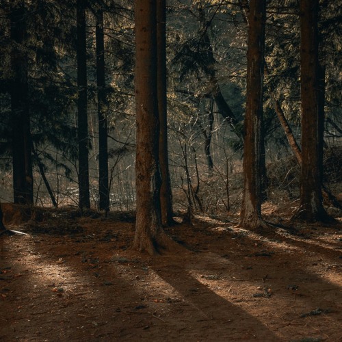 PREMIERE: St.Ego - Hello, World! (Greg Ochman Remix) [Flug lab]