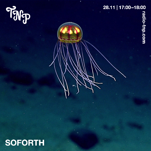 Soforth