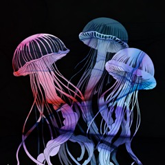 Techno of Jellyfish