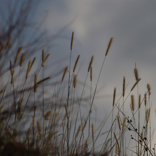 ‎⁨، قناة الاستقامة. نشيد (جــادك الــغـيث) من التراث الأندلسي. أداء المنشد منصور الحسيني⁩.m4a