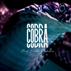 [FREE] Pop Smoke Type Beat 2021 - "Cobra" | Melodic Instrumental | ( Prod. MoodBeatz )