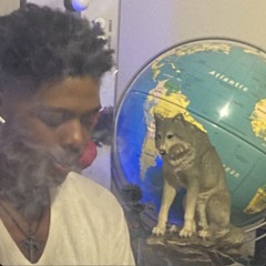 SAMURAI JACK FREESTYLE