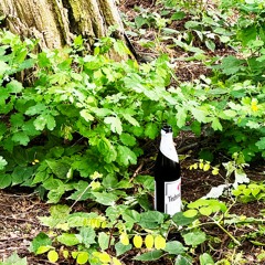Cache 011: Deep (Techno) in the Woods