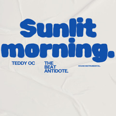 Sunlit morning House beat instrumental