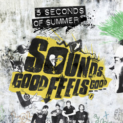 The Space Between A Rock And A Hard Place by 5SOS speed audio