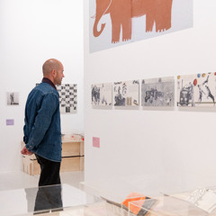 Audiodescription R comme Regarder #5. "Le Caniche Volant"