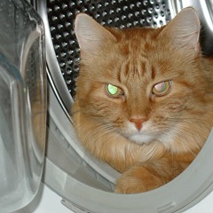 LG washing machine sound updated