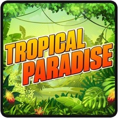 Tropical Paradise 05-09-17 12:50