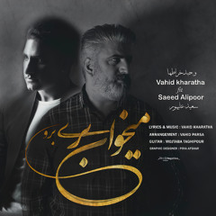 Mikhay Beri Boro (feat. Saeed Alipoor)