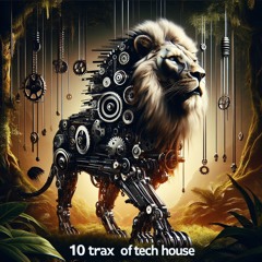 10 Trax Of Tech House