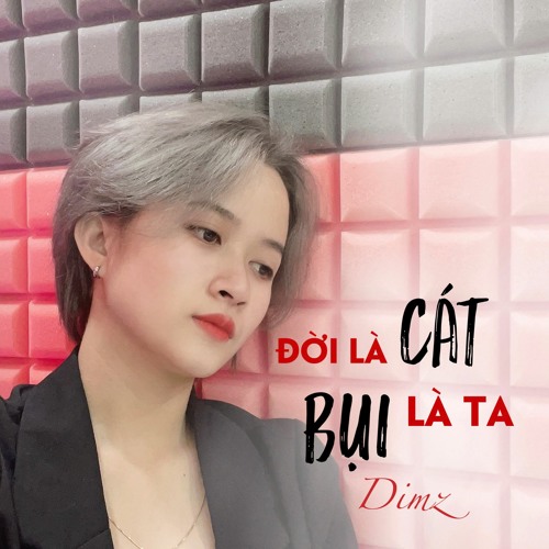 Đời Là Cát Bụi Là Ta「LongB x NH4T Remix」- DIMZ