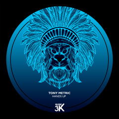 Tony Metric - Hands Up (Original Mix)